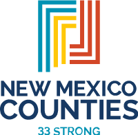 NM Counties