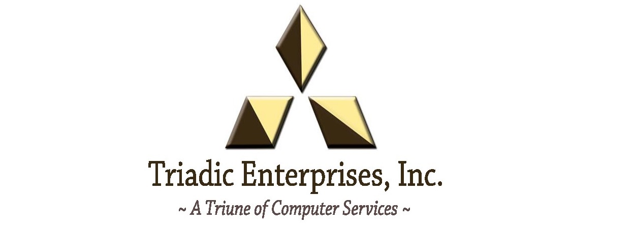 Triadic Enterprises, Inc. logo