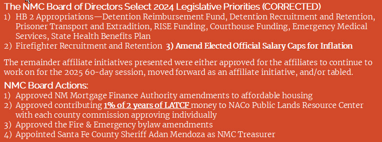 NMC 2024 Priorities Edited 