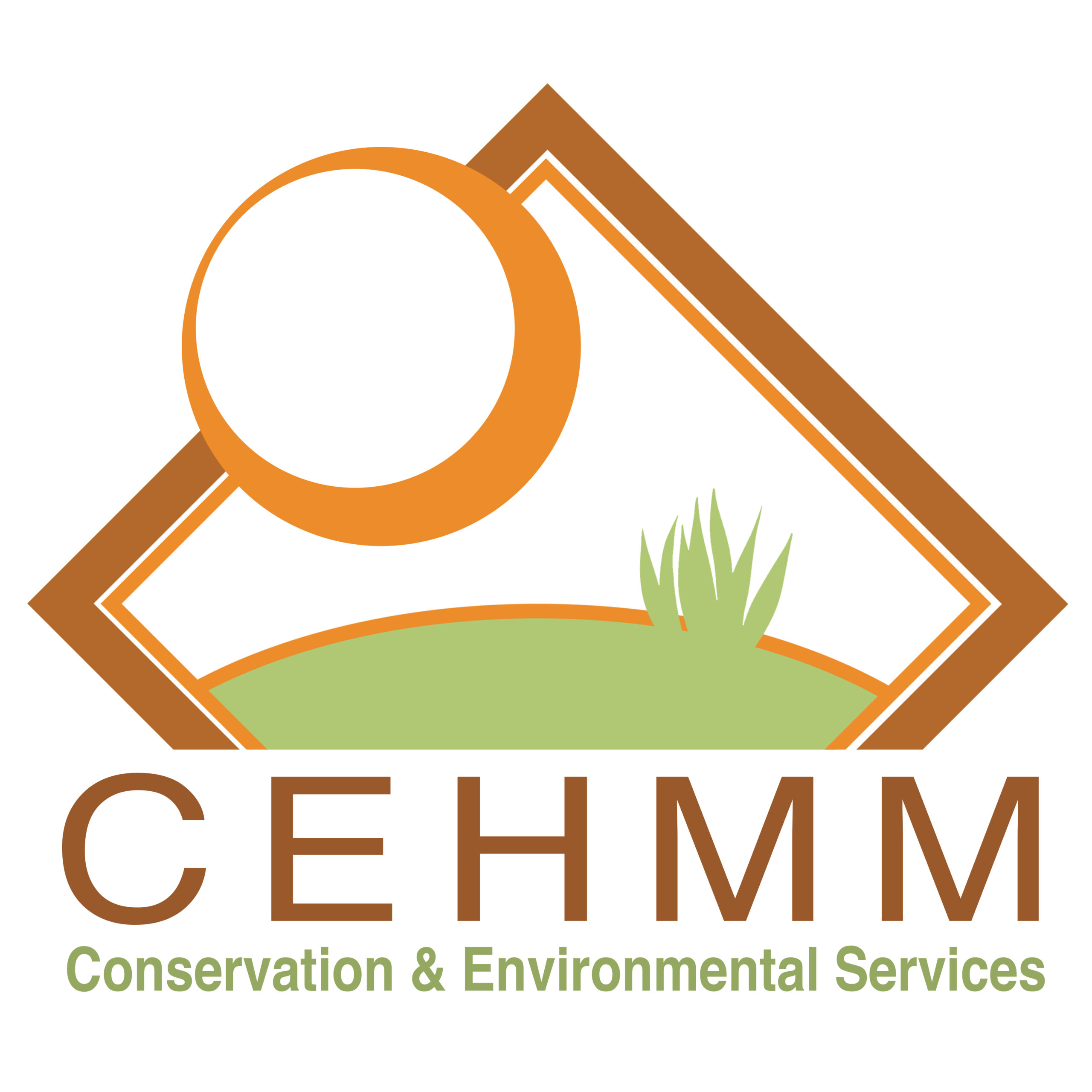 CEHMM logo